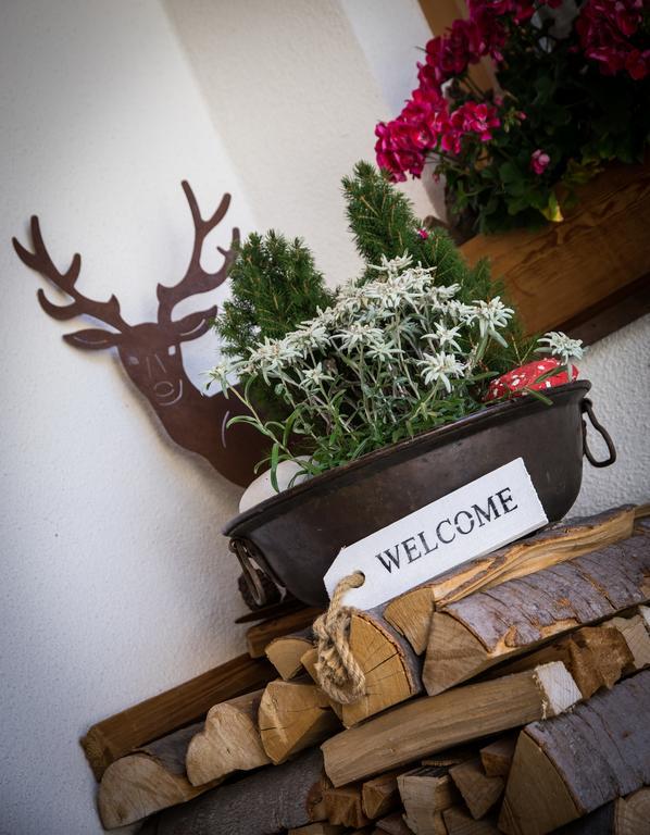 Monti Pallidi B&B Apartments Corvara In Badia Eksteriør bilde