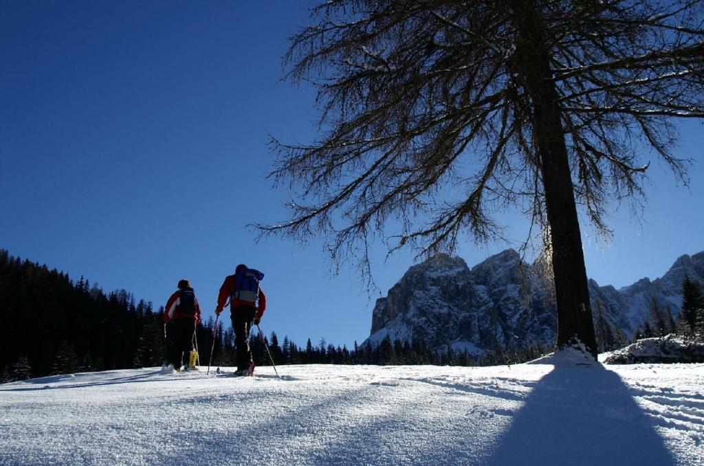 Monti Pallidi B&B Apartments Corvara In Badia Eksteriør bilde